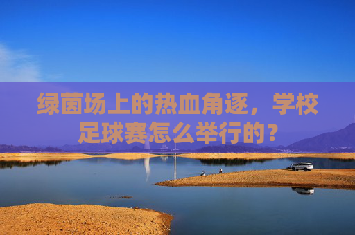 绿茵场上的热血角逐，学校足球赛怎么举行的？