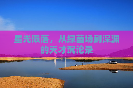 星光陨落,从绿茵场到深渊的天才沉沦录