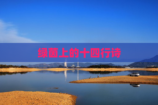 绿茵上的十四行诗