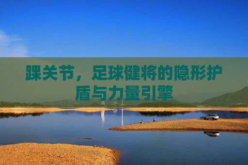 踝关节,足球健将的隐形护盾与力量引擎