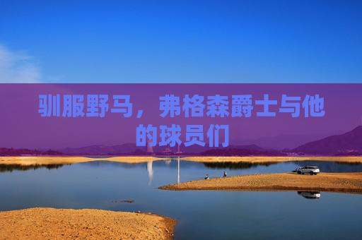 驯服野马,弗格森爵士与他的球员们