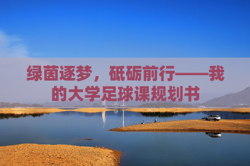 绿茵逐梦,砥砺前行——我的大学足球课规划书