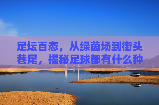 足坛百态，从绿茵场到街头巷尾，揭秘足球都有什么种类