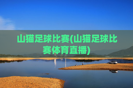 山猫足球比赛(山猫足球比赛体育直播)