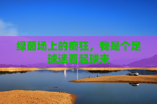 绿茵场上的痴狂,我是个足球迷看起球来