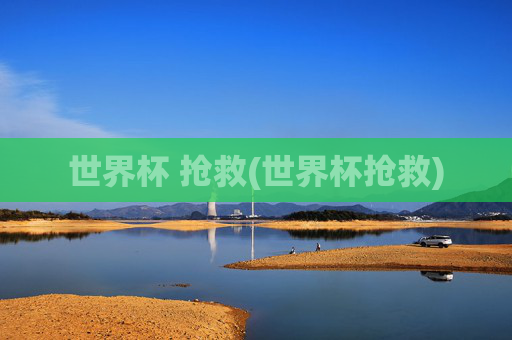 世界杯 抢救(世界杯抢救)