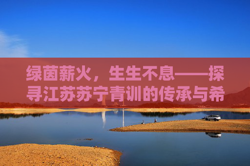 绿茵薪火,生生不息——探寻江苏苏宁青训的传承与希望