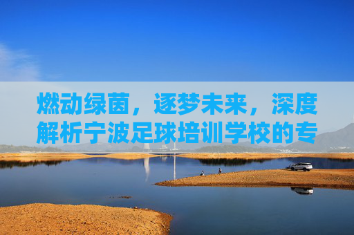 燃动绿茵,逐梦未来,深度解析宁波足球培训学校的专业之道
