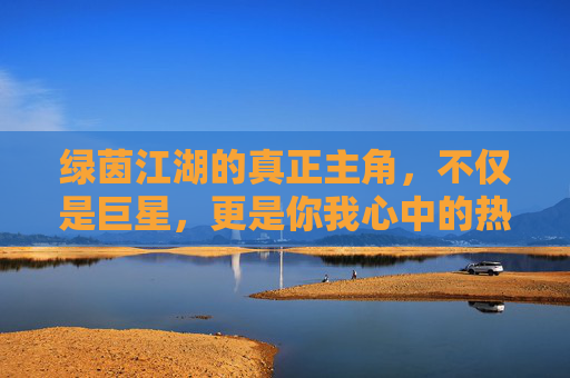 绿茵江湖的真正主角,不仅是巨星,更是你我心中的热爱