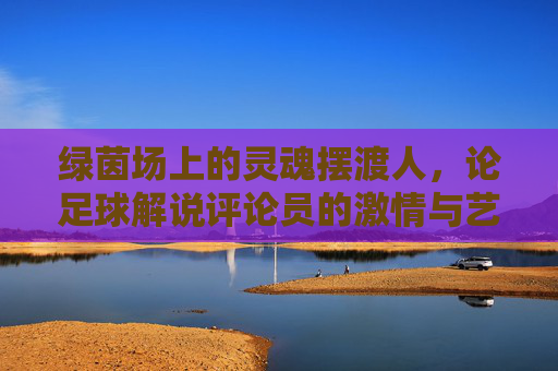 绿茵场上的灵魂摆渡人,论足球解说评论员的激情与艺术