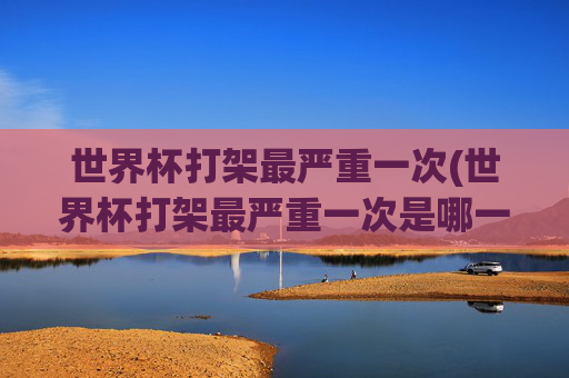 世界杯打架最严重一次(世界杯打架最严重一次是哪一年)
