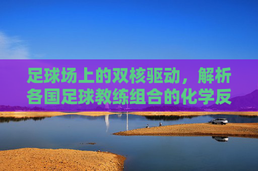 足球场上的双核驱动，解析各国足球教练组合的化学反应与战术智慧