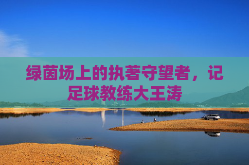 绿茵场上的执著守望者,记足球教练大王涛
