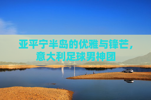 亚平宁半岛的优雅与锋芒，意大利足球男神团