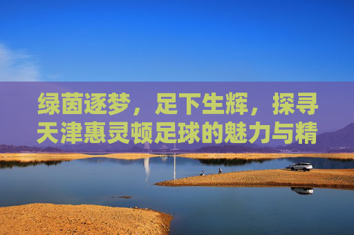 绿茵逐梦，足下生辉，探寻天津惠灵顿足球的魅力与精神