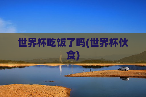 世界杯吃饭了吗(世界杯伙食)