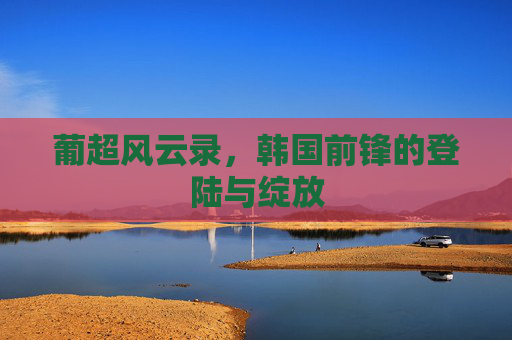 葡超风云录,韩国前锋的登陆与绽放