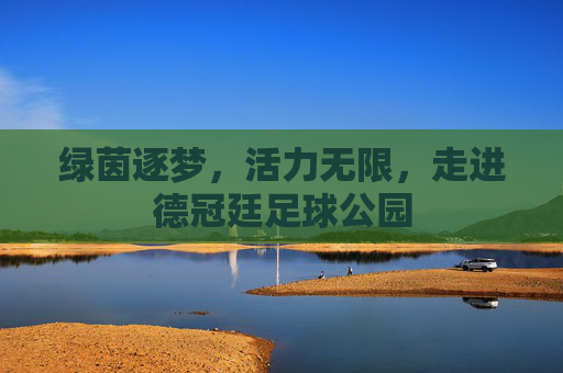 绿茵逐梦,活力无限,走进德冠廷足球公园