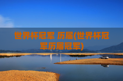 世界杯冠军 历届(世界杯冠军历届冠军)