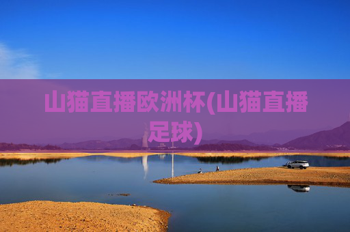 山猫直播欧洲杯(山猫直播足球)
