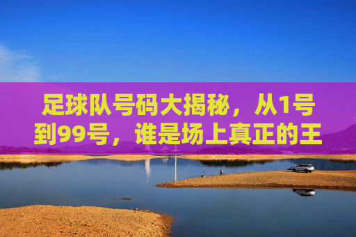 足球队号码大揭秘,从1号到99号,谁是场上真正的王者?