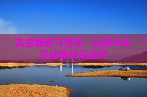 高原绿茵守望者,记格尔木足球陈的足球梦