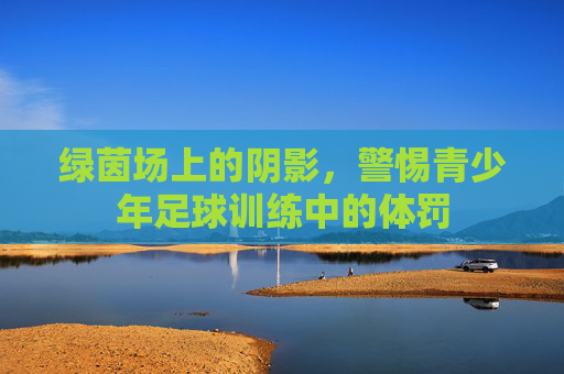 绿茵场上的阴影,警惕青少年足球训练中的体罚