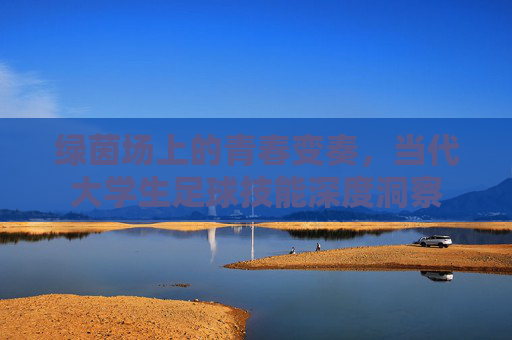 绿茵场上的青春变奏,当代大学生足球技能深度洞察