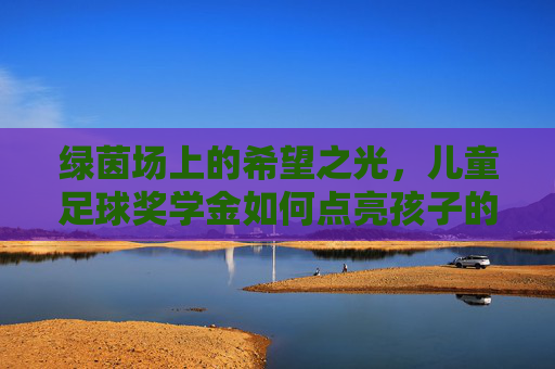 绿茵场上的希望之光,儿童足球奖学金如何点亮孩子的足球梦