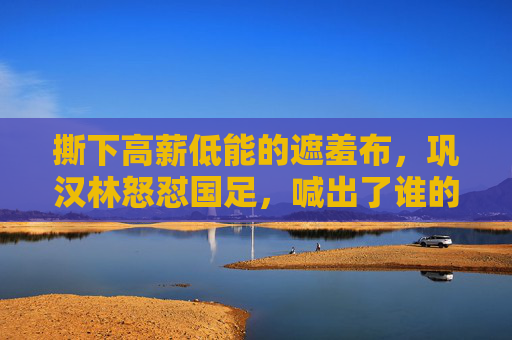 撕下高薪低能的遮羞布,巩汉林怒怼国足,喊出了谁的心声?