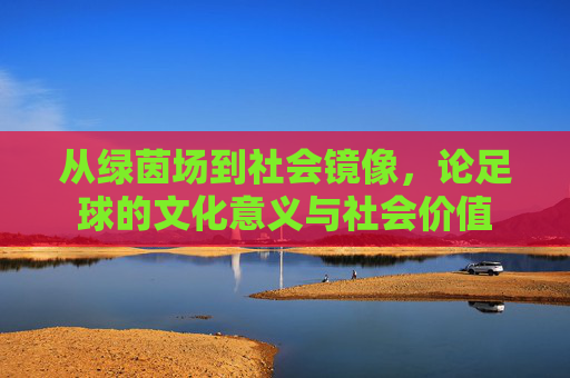 从绿茵场到社会镜像,论足球的文化意义与社会价值