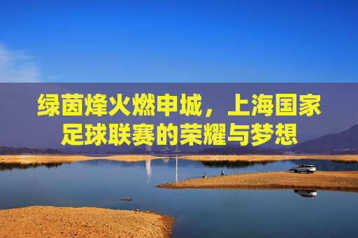 绿茵烽火燃申城,上海国家足球联赛的荣耀与梦想