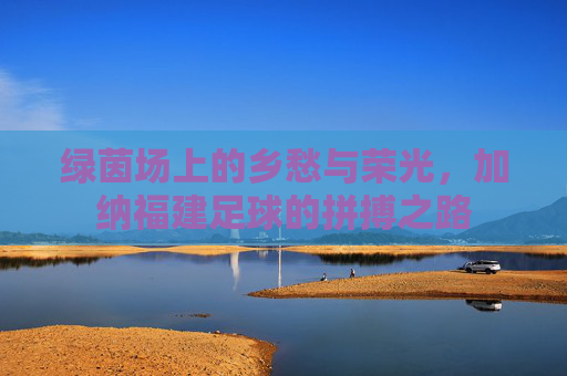 绿茵场上的乡愁与荣光,加纳福建足球的拼搏之路
