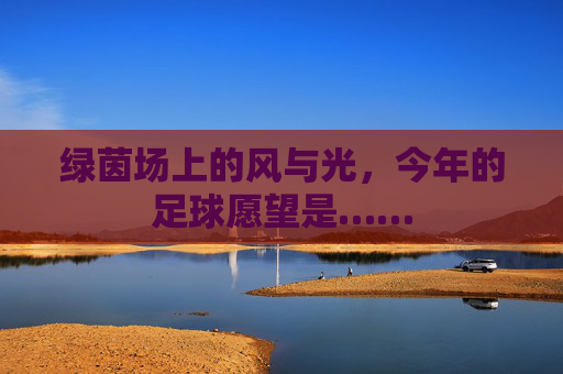 绿茵场上的风与光,今年的足球愿望是……