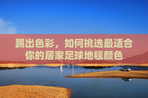踢出色彩,如何挑选最适合你的居家足球地毯颜色