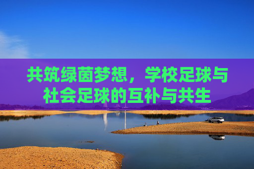 共筑绿茵梦想,学校足球与社会足球的互补与共生
