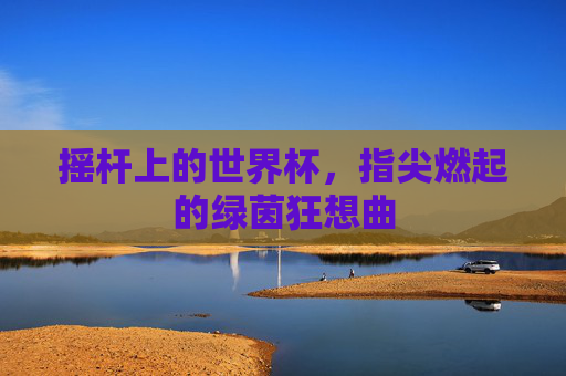 摇杆上的世界杯,指尖燃起的绿茵狂想曲