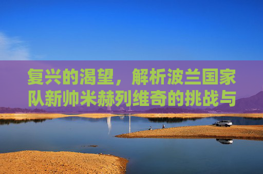 复兴的渴望，解析波兰国家队新帅米赫列维奇的挑战与机遇