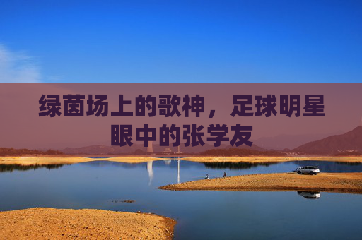 绿茵场上的歌神,足球明星眼中的张学友