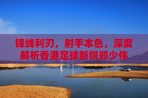 锋线利刃，射手本色，深度解析香港足球新锐郑少伟