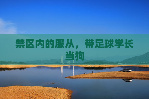 禁区内的服从,带足球学长当狗