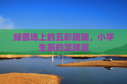 绿茵场上的五彩斑斓,小学生画的足球画