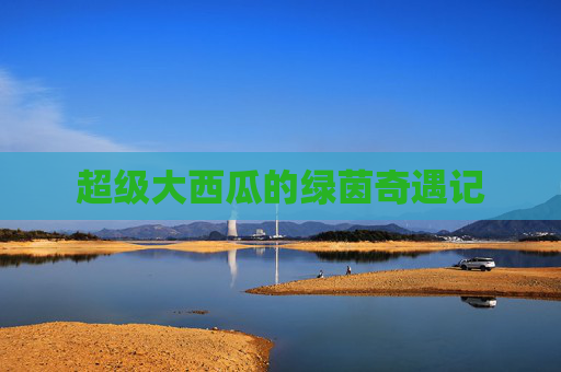 超级大西瓜的绿茵奇遇记