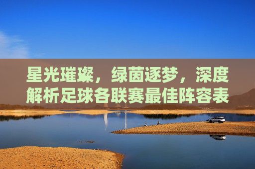星光璀璨,绿茵逐梦,深度解析足球各联赛最佳阵容表