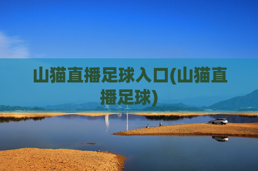 山猫直播足球入口(山猫直播足球)