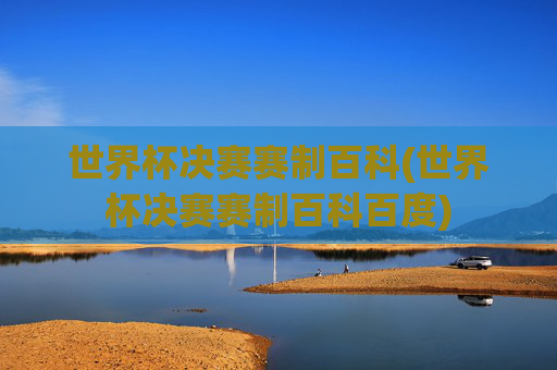 世界杯决赛赛制百科(世界杯决赛赛制百科百度)