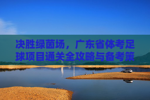 决胜绿茵场,广东省体考足球项目通关全攻略与备考策略