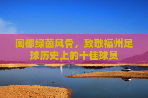 闽都绿茵风骨,致敬福州足球历史上的十佳球员