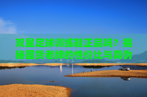 双星足球训练鞋正品吗?揭秘国货老牌的性价比与真伪辨别指南