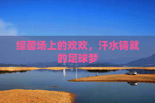 绿茵场上的欢欢，汗水铸就的足球梦